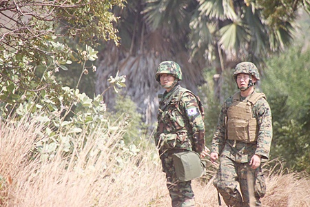 A beefed-up South Korean contingent was among 9,536 armed forces from six countries participating when Cobra Gold 2011 kicked off this Feb 8.